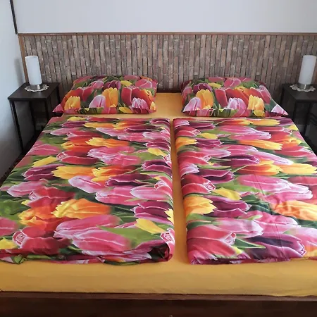 Chata Maja Holiday home Loucna nad Desnou